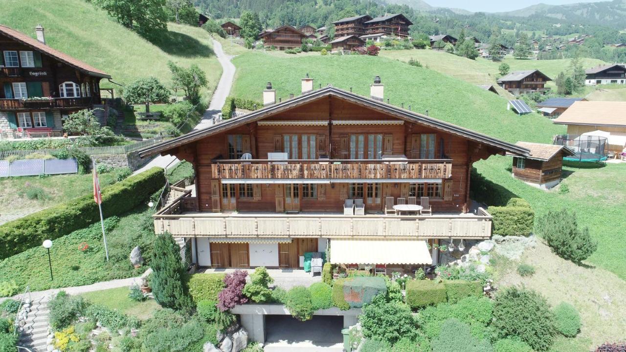 Chalet Obelix Apartment กรินเดลวัลด์ ภายนอก รูปภาพ